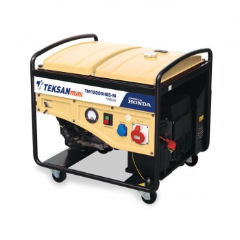 Portable Generator TM12000HB3-M