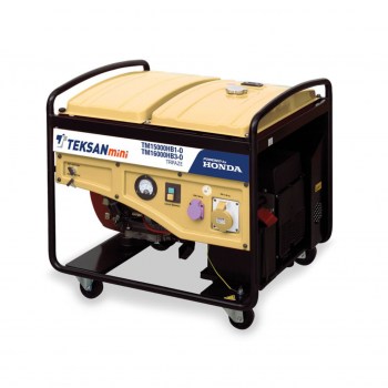 Portable Generator TM16000HB3-O