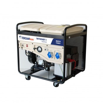 Portable Generator TM7500AD1-I