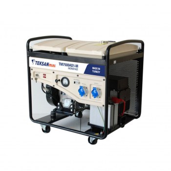 Portable Generator TM7500AD1-M