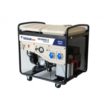 Portable Generator TM7500AD1-O