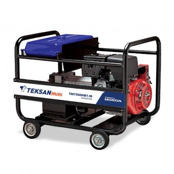 Portable Generator TM7500HB1-I