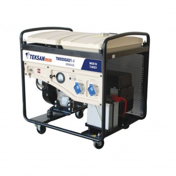 Portable Generator TM9000AD1-I